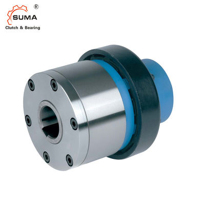 ESG2 Overrunning GCr15 Indexing Clutch Freewheel